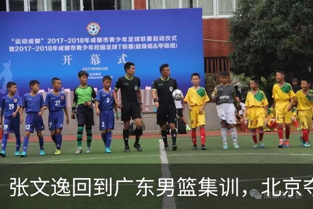 张文逸回到广东男篮集训，北京夺冠功勋确定退役，上海欲续约弗格