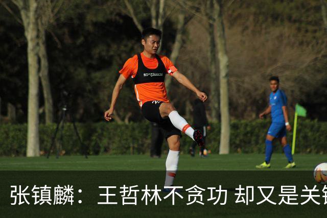 张镇麟：王哲林不贪功 却又是关键时刻能站出来的人 队长当之无愧